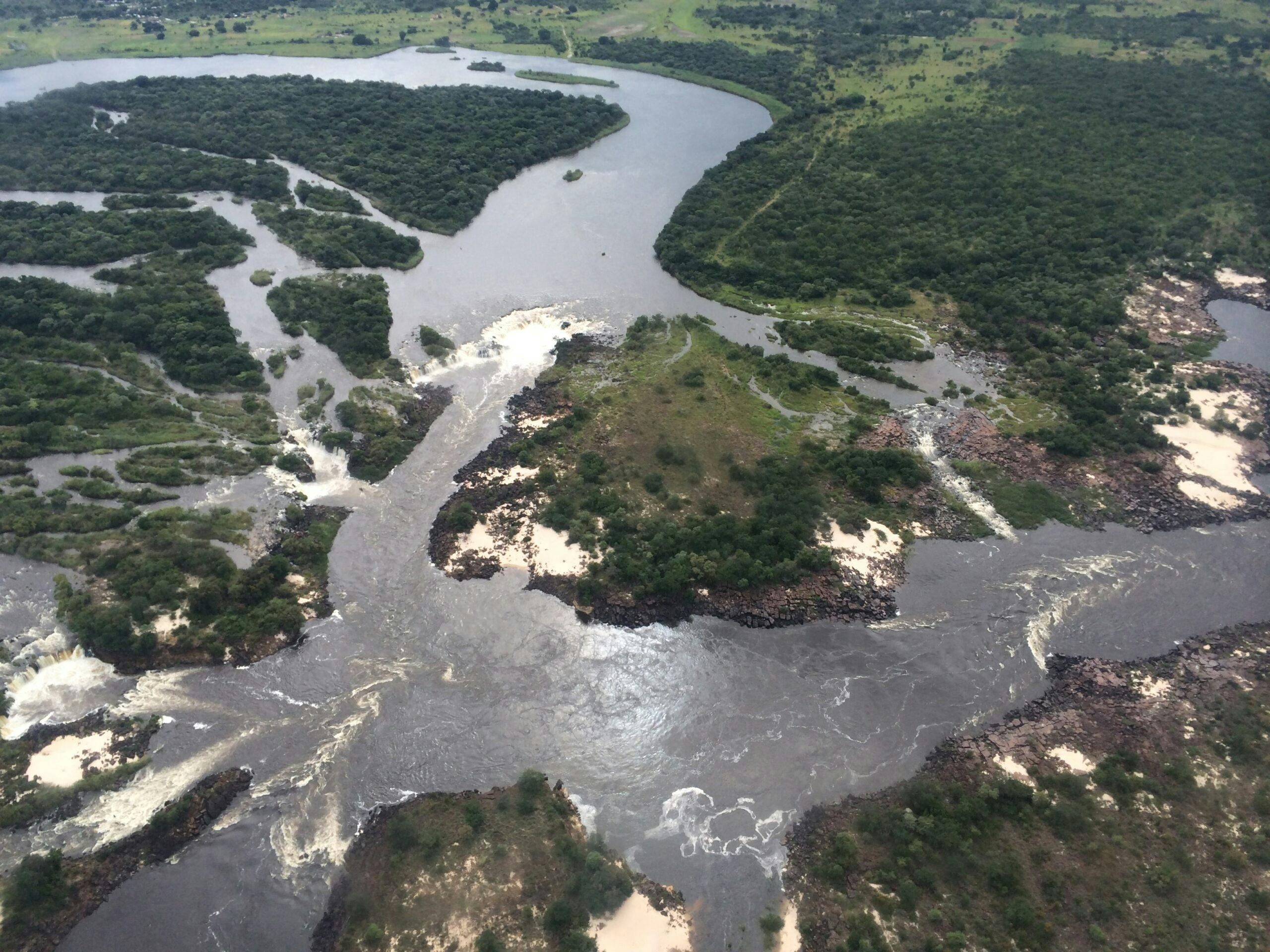 Aerial view of river and forest