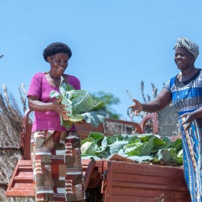 Two African women proudly holding vegetable crops
