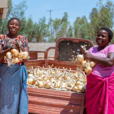 African women smiling and holding onion crops