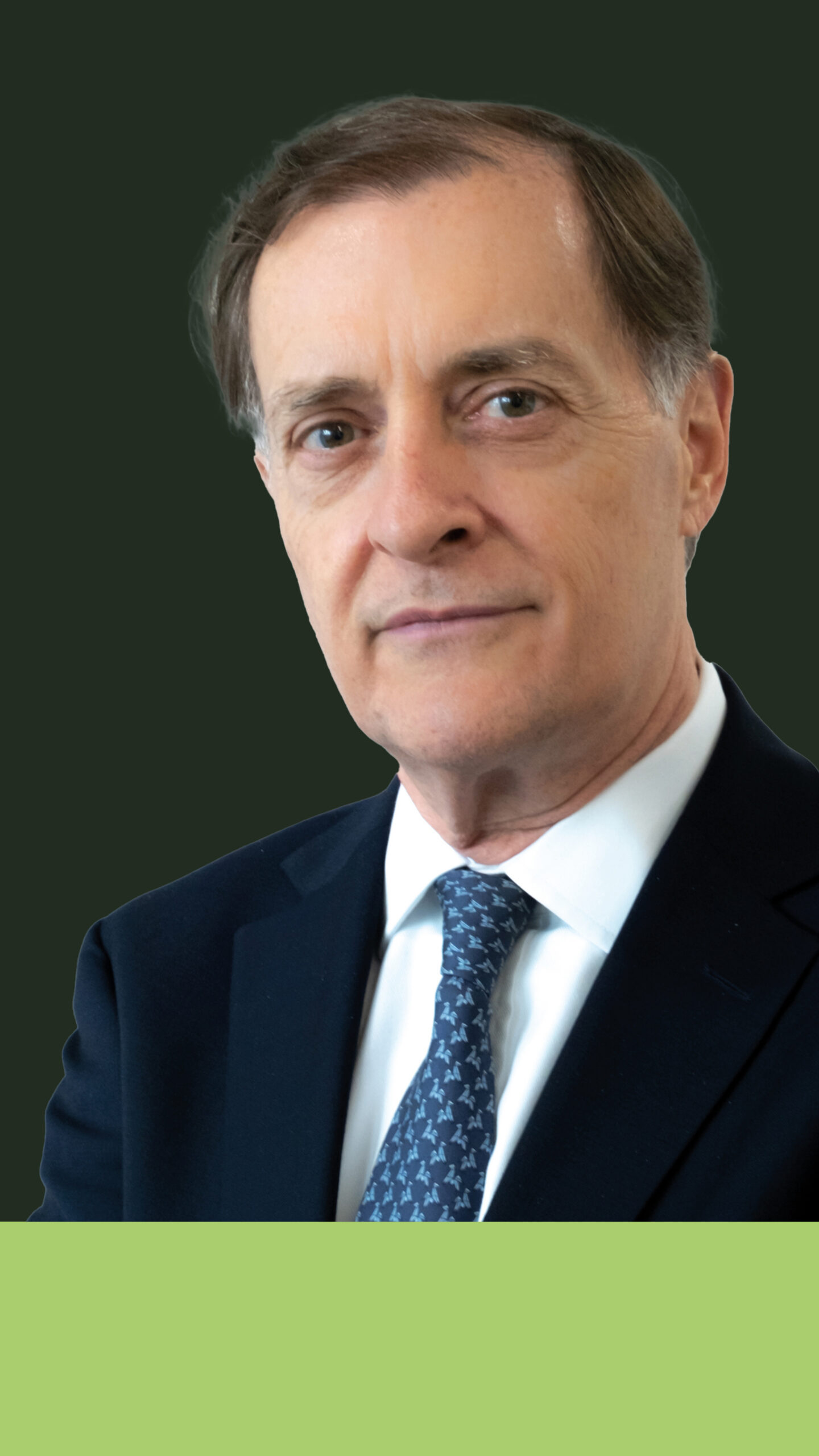 Emde EMDE infrastructure: the investment insurers need - PIDG