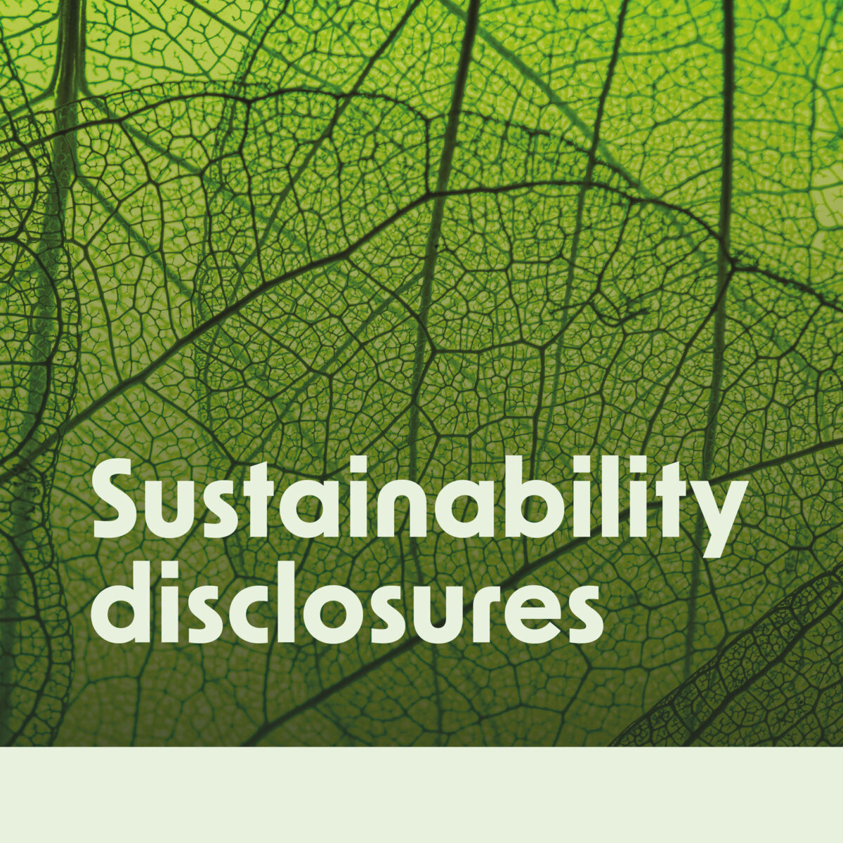 Impact Report 2024 Pidg