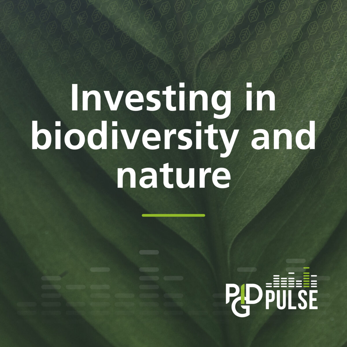 #11 Investing in Biodiversity and Nature - PIDG